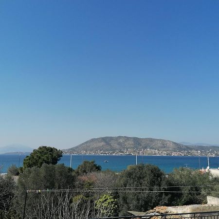 הוילה Welcome In Salamina מראה חיצוני תמונה
