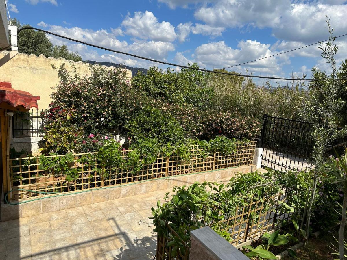 הוילה Welcome In Salamina מראה חיצוני תמונה